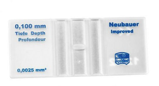 Picture of Assistent Improved Neubauer Counting Chambers - 40442012