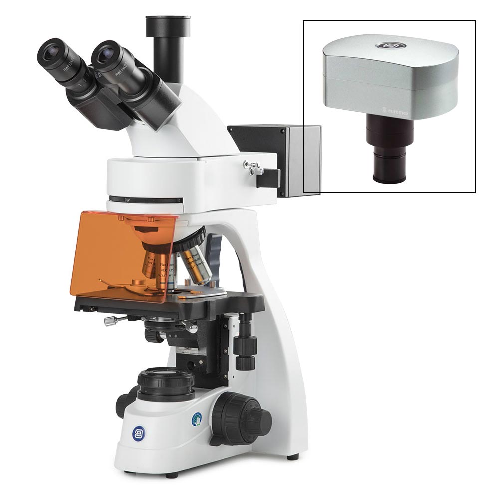 Picture of Euromex bScope® EPI-Fluorescence Microscope - EBS-3153-PLFI-DC18